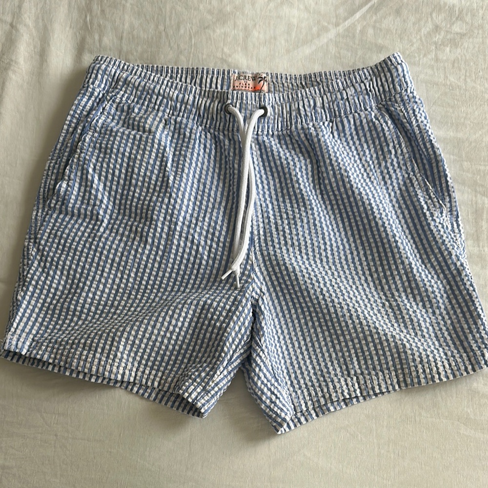 Men's Blue and White Striped Swim Shorts